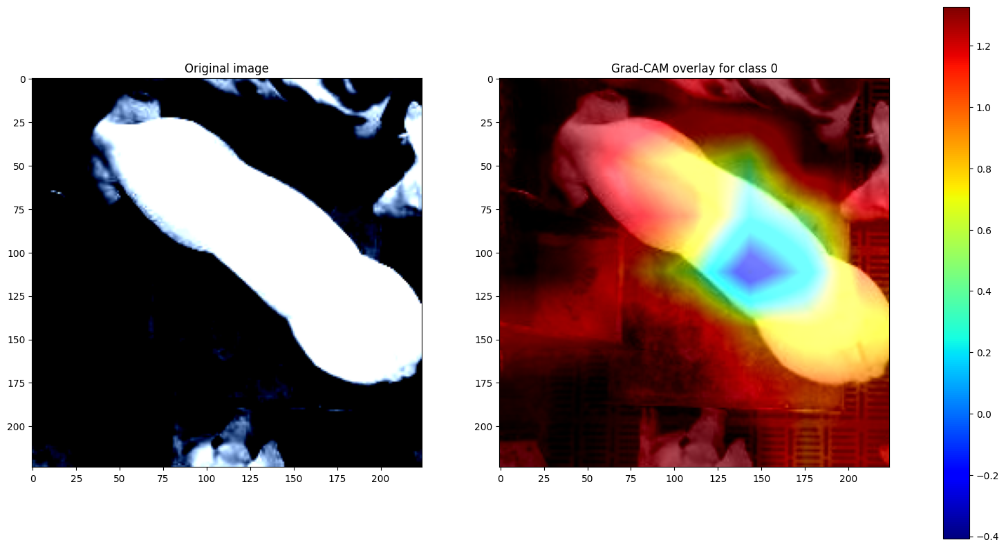 Class Activation Map for a pig detector